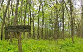 Panther Creek Trailhead