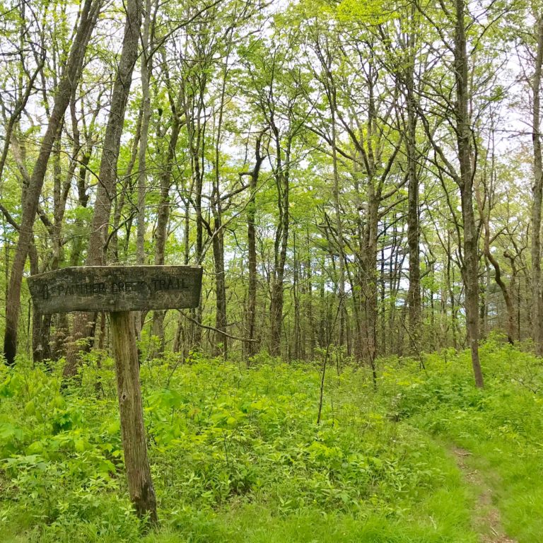 Panther Creek Trailhead