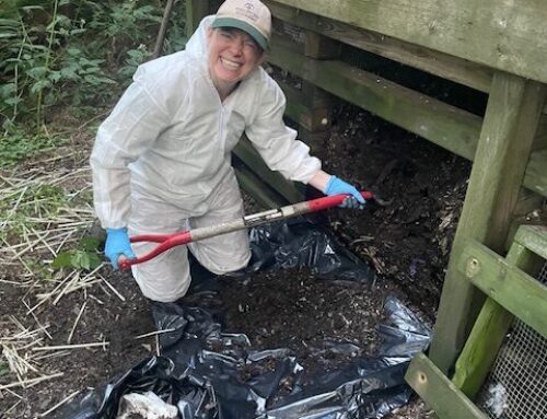 BACKCOUNTRY DUTIES: CLEANING A PRIVY!